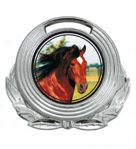 Medalha redonda Ref. 042 - diâmetro 42mm - ouro/prata/bronze