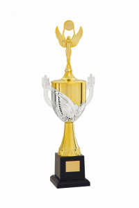 Troféu Tradicional Ref. 400381 - 62 cm